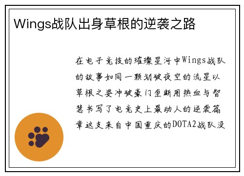 Wings战队出身草根的逆袭之路