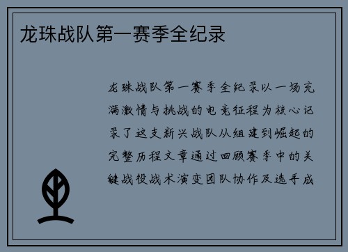 龙珠战队第一赛季全纪录