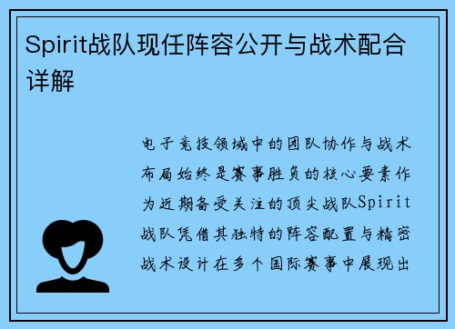 Spirit战队现任阵容公开与战术配合详解