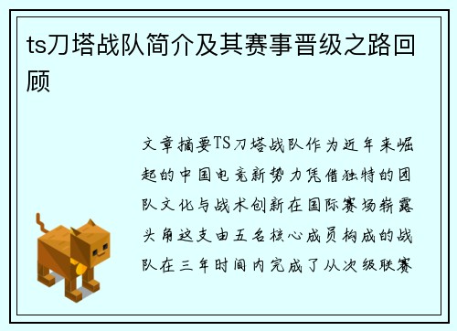 ts刀塔战队简介及其赛事晋级之路回顾